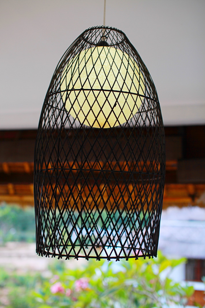 IMG_4419 copy copy_resize