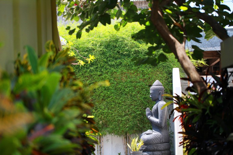 IMG_9850 copy_resize