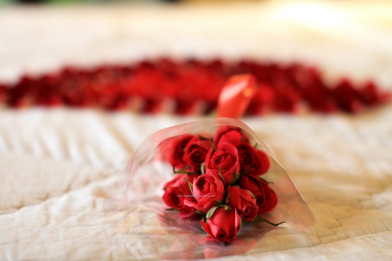 askaravilla (19)_resize