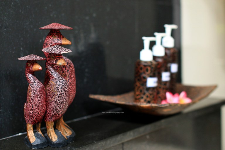 askaravilla (6)_resize